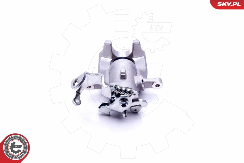 Brake Caliper 46SKV203