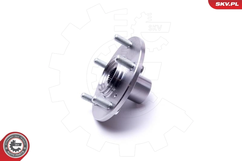 ESEN SKV 29SKV466 Wheel Bearing Kit