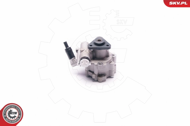 Hydraulic Pump, steering 10SKV030