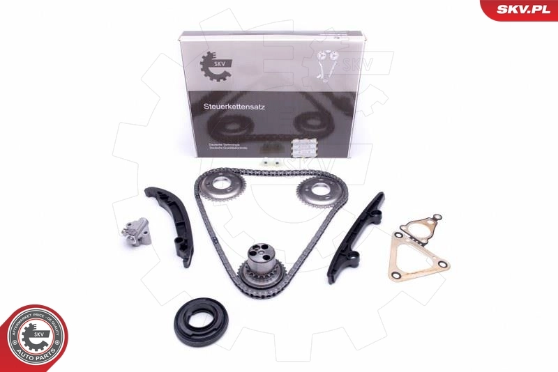 Timing Chain Kit 21SKV119