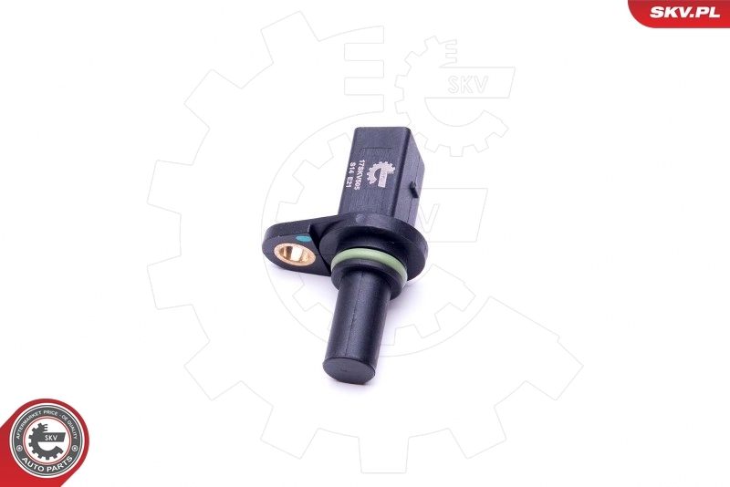 Impulsgeber, Kurbelwelle 17SKV505