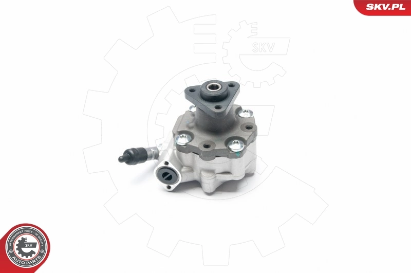 Hydraulic Pump, steering 10SKV187