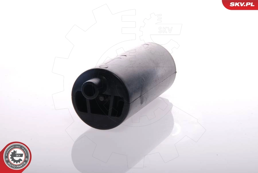Fuel Pump 02SKV271