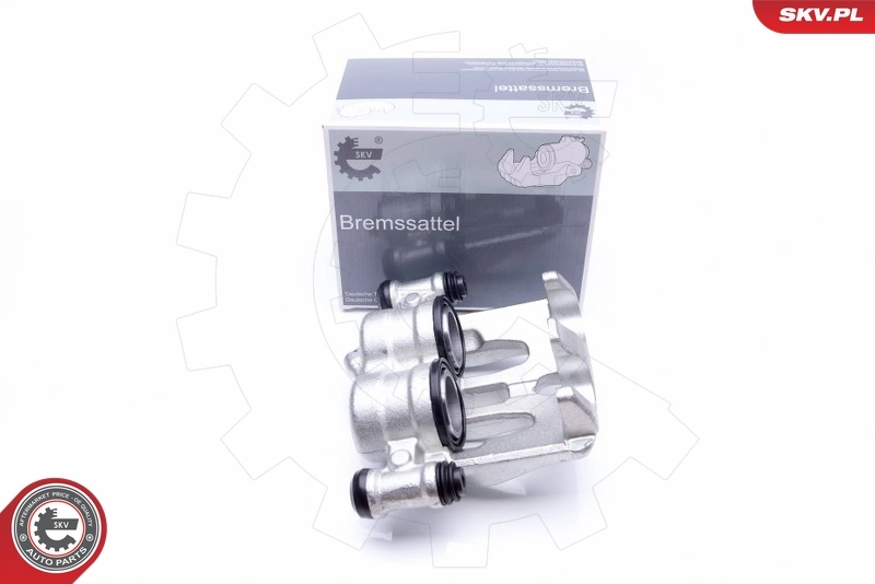 Brake Caliper 34SKV021
