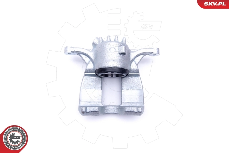 Brake Caliper 46SKV231