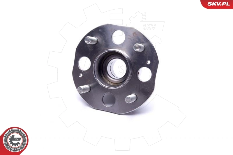ESEN SKV 29SKV463 Wheel Bearing Kit