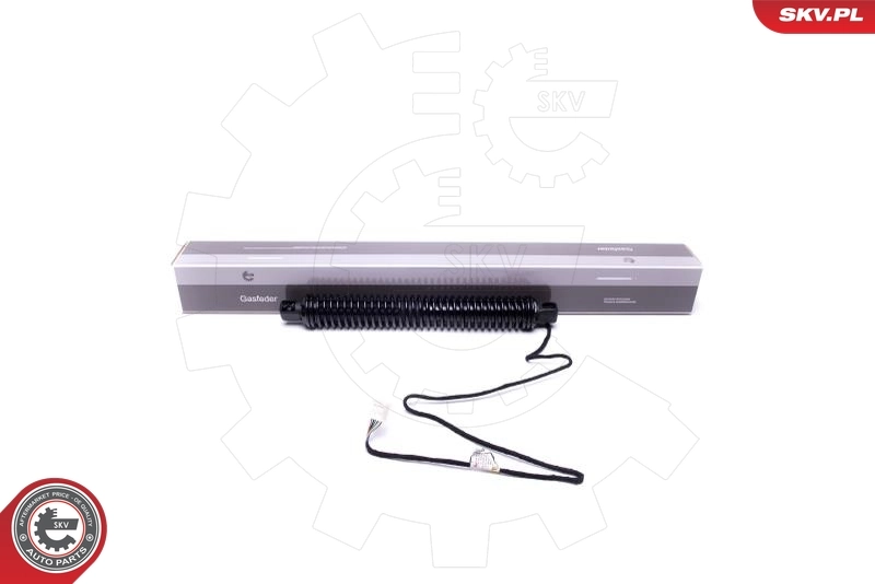 Electric Motor, tailgate 52SKV934