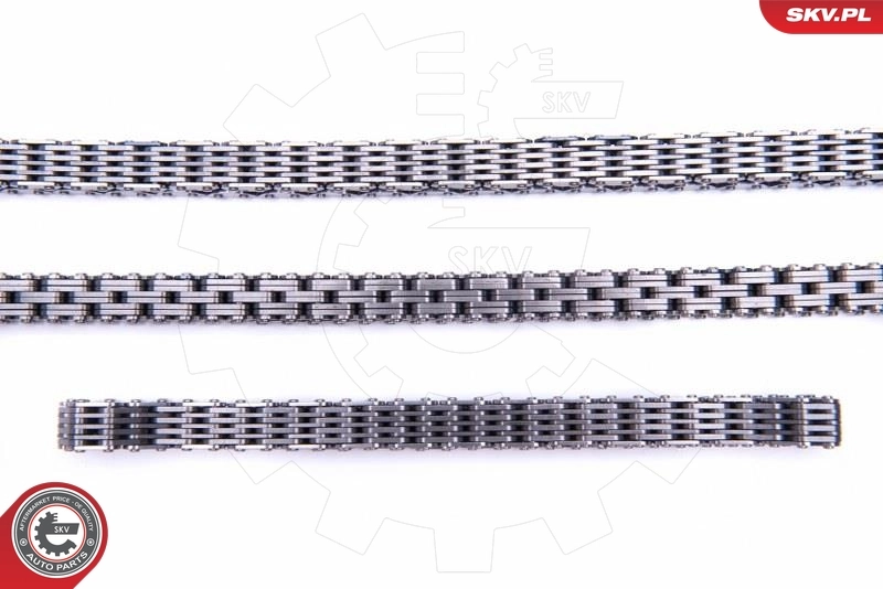 Timing Chain Kit 21SKV162