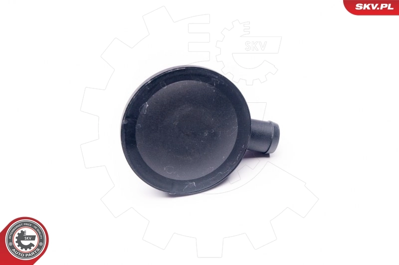 Valve, crankcase ventilation 31SKV009