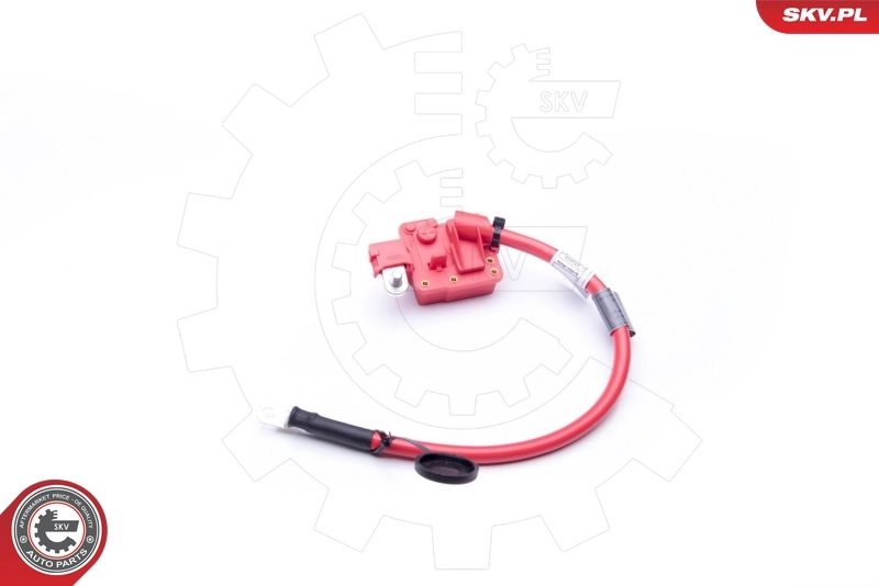 ESEN SKV 96SKV302 Battery Adapter