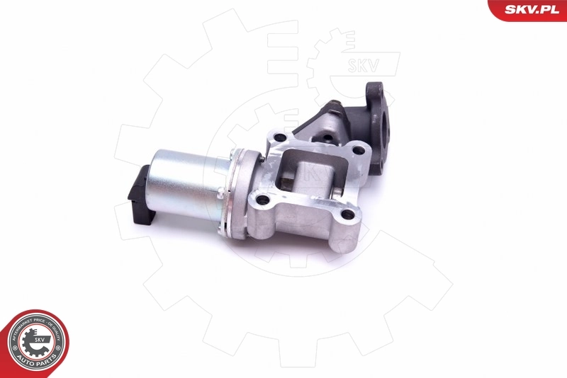 EGR Valve 14SKV214