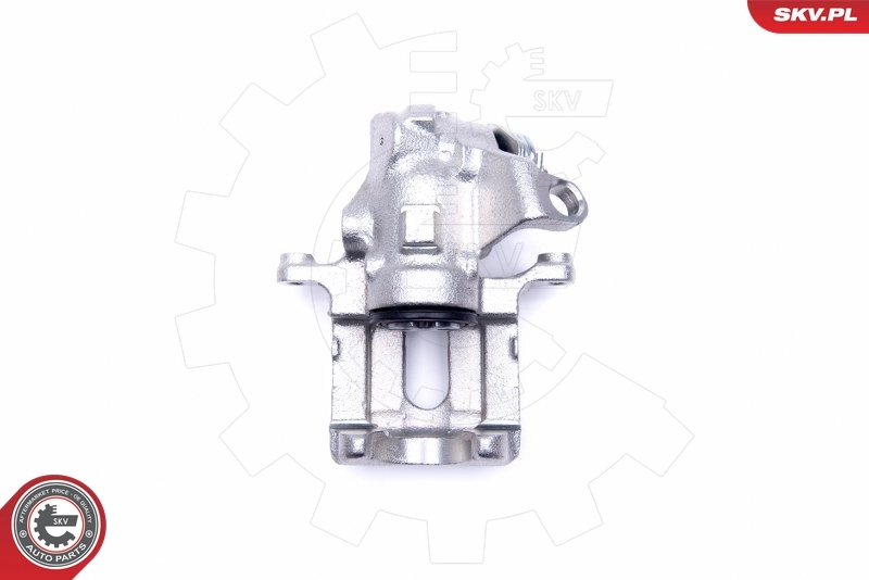 Brake Caliper 45SKV934