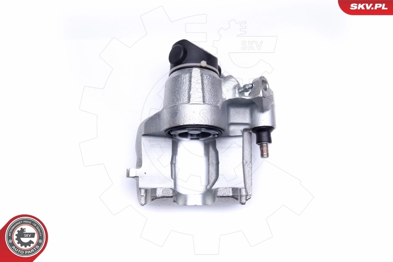 Brake Caliper 45SKV072