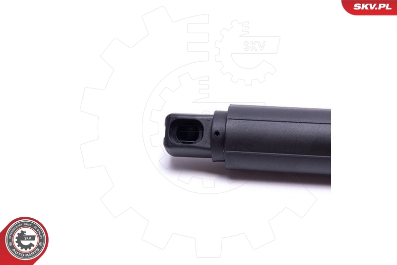 ESEN SKV 52SKV905 Electric Motor, tailgate