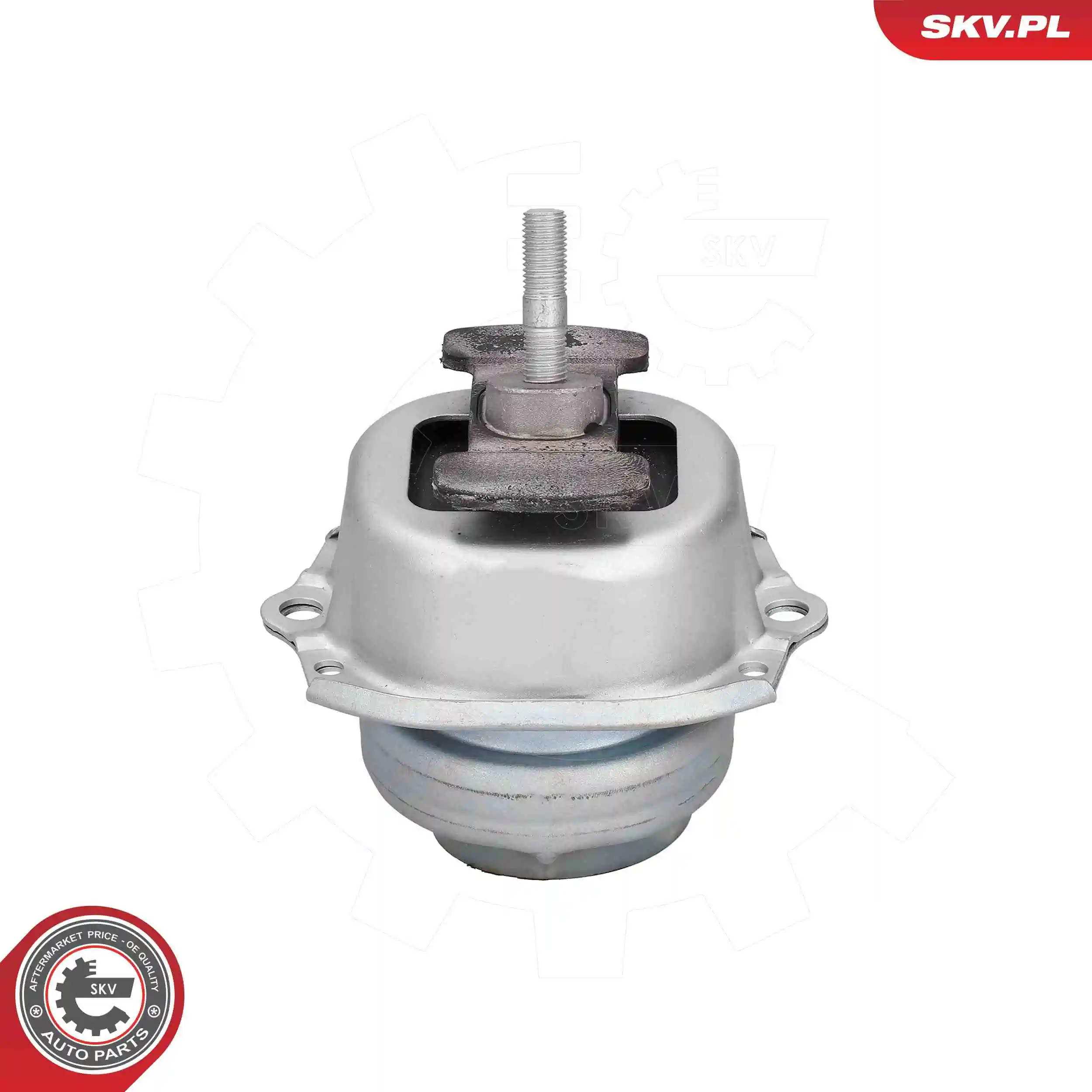 Mounting, engine 75SKV255