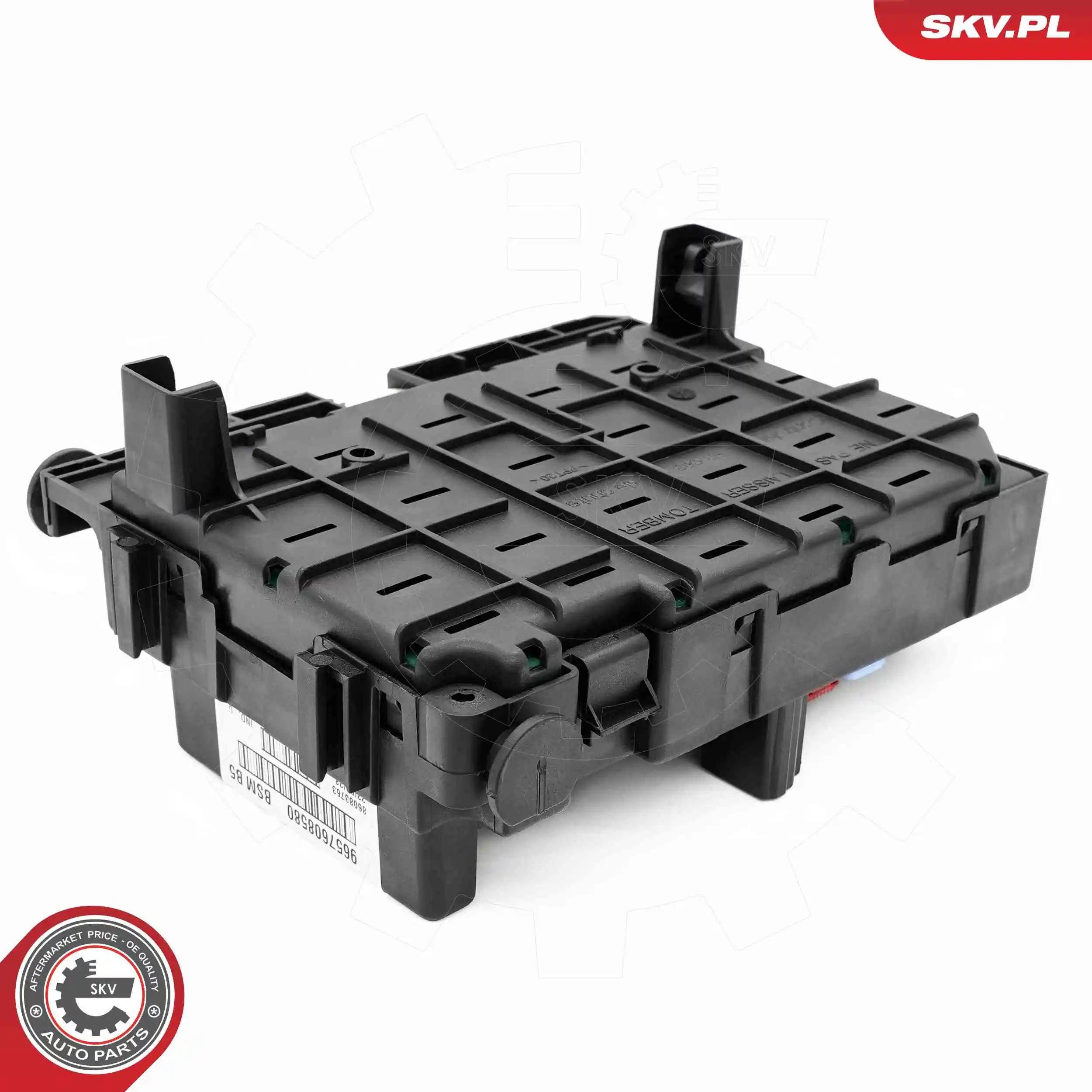 ESEN SKV 96SKV321 Control Unit, engine management
