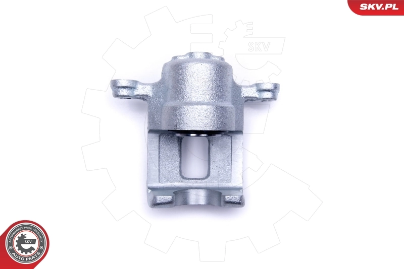 Brake Caliper 50SKV463