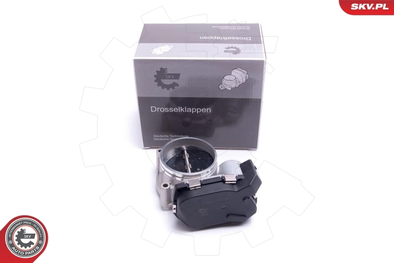 Throttle Body 12SKV115