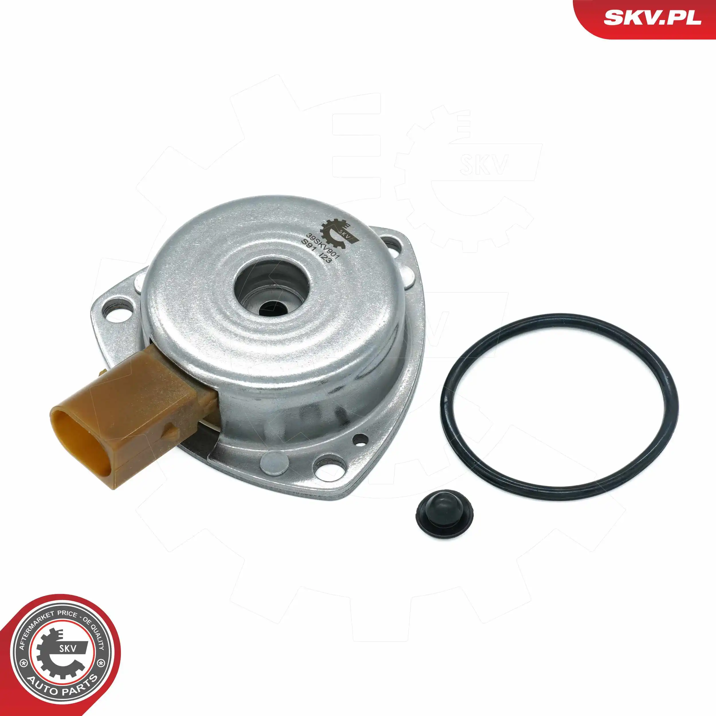 Central Magnet, camshaft adjustment 39SKV901