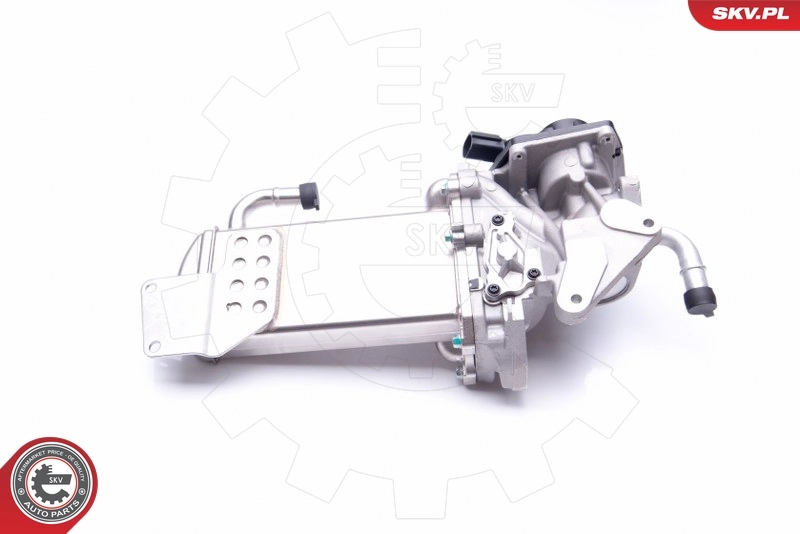 EGR Valve 14SKV154