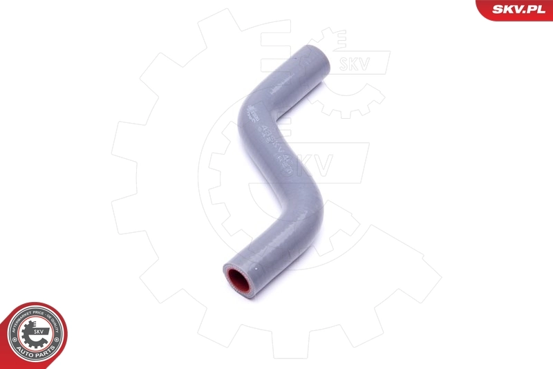 Charge Air Hose 43SKV409