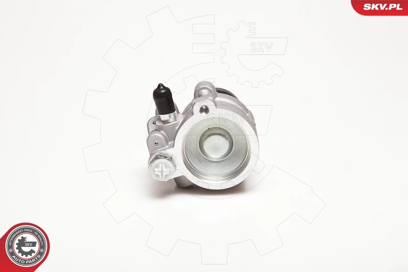 Hydraulic Pump, steering 10SKV054
