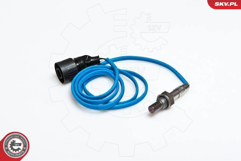 Oxygen Sensor 09SKV049
