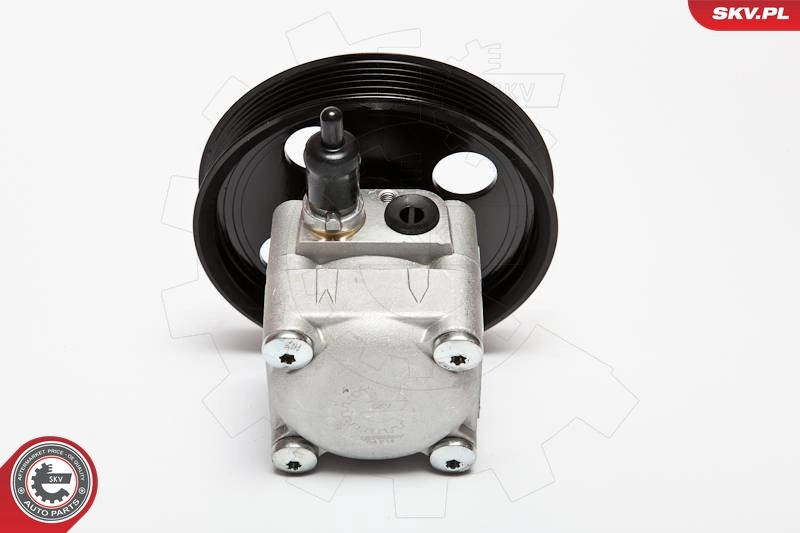 Hydraulic Pump, steering 10SKV074