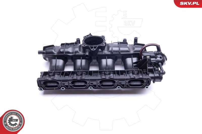 Intake Manifold Module 49SKV028