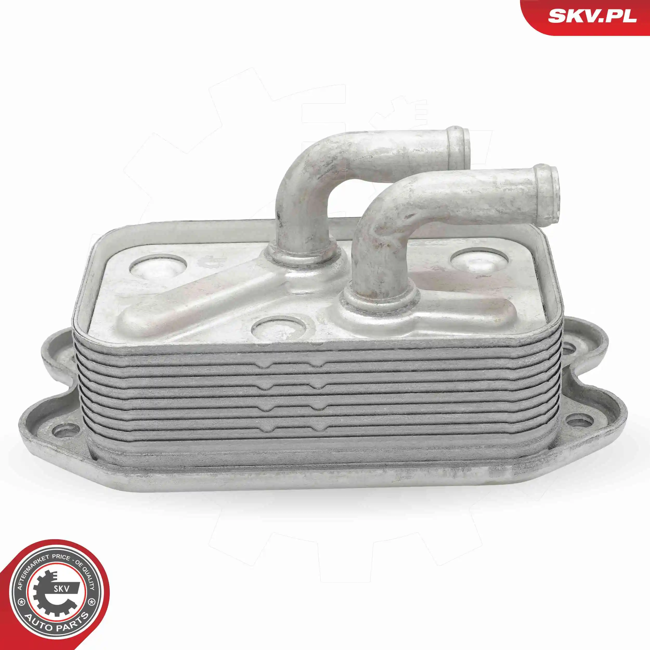 Oil Cooler, engine oil 31SKV305