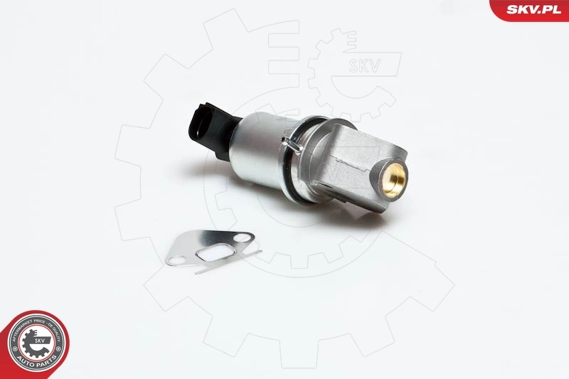 EGR Valve 14SKV007