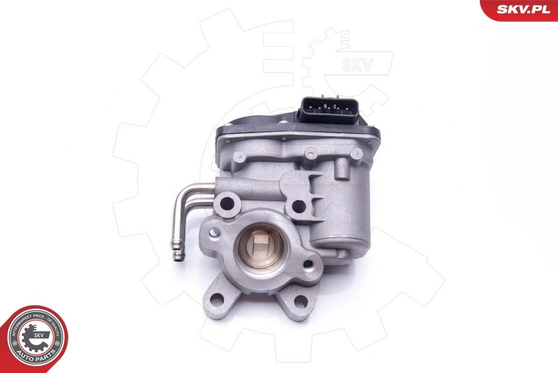 EGR Valve 14SKV102