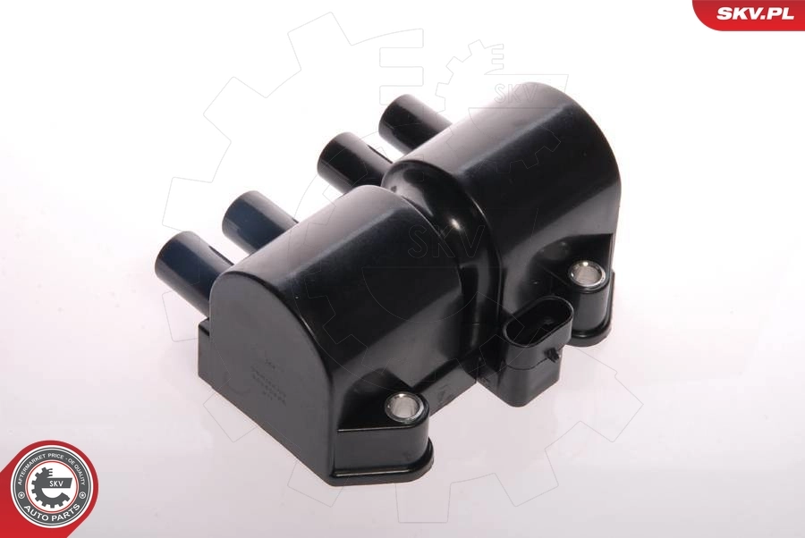 Ignition Coil 03SKV018