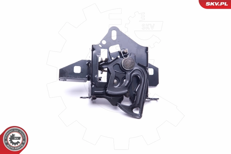 Tailgate Lock 16SKV248