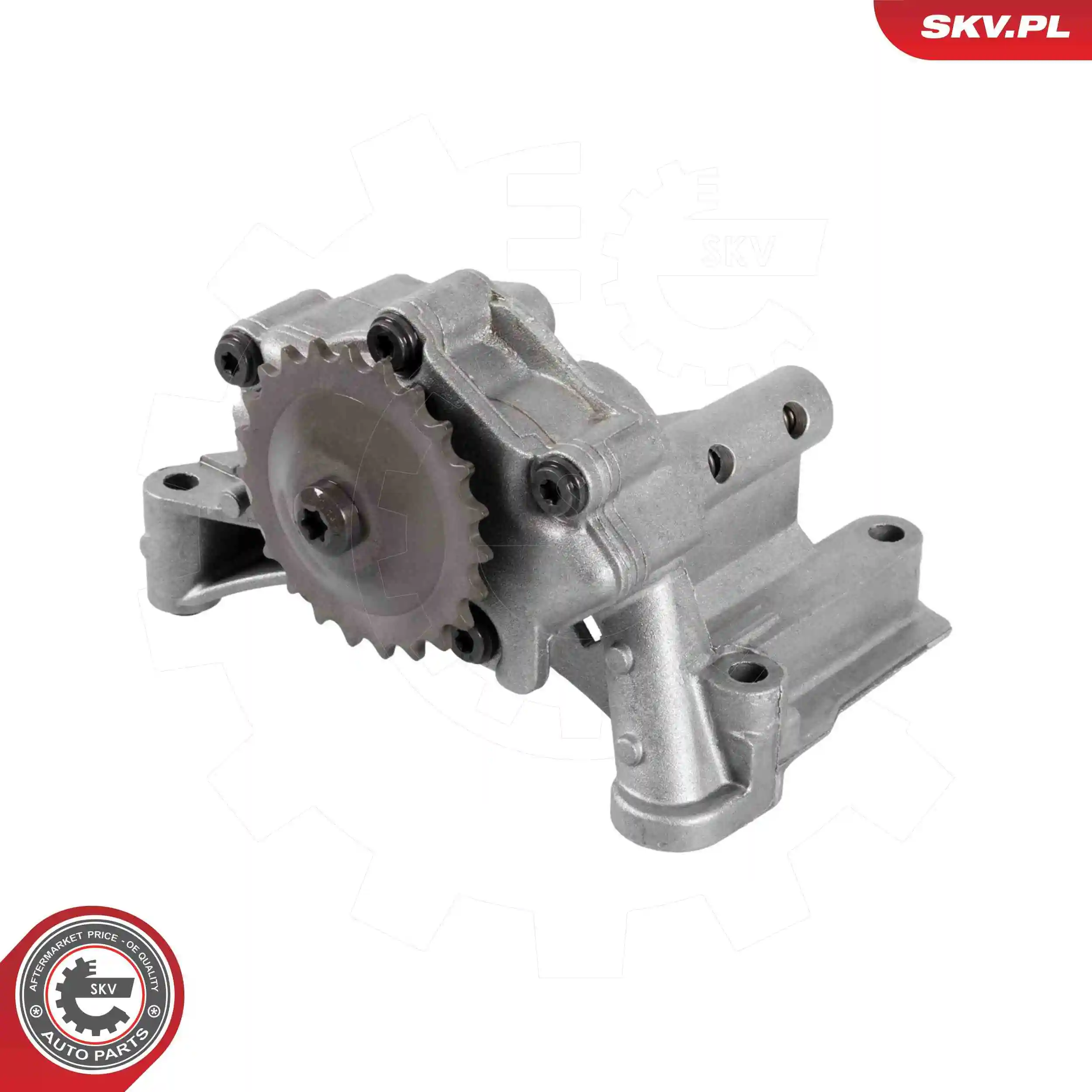Oil Pump 77SKV045