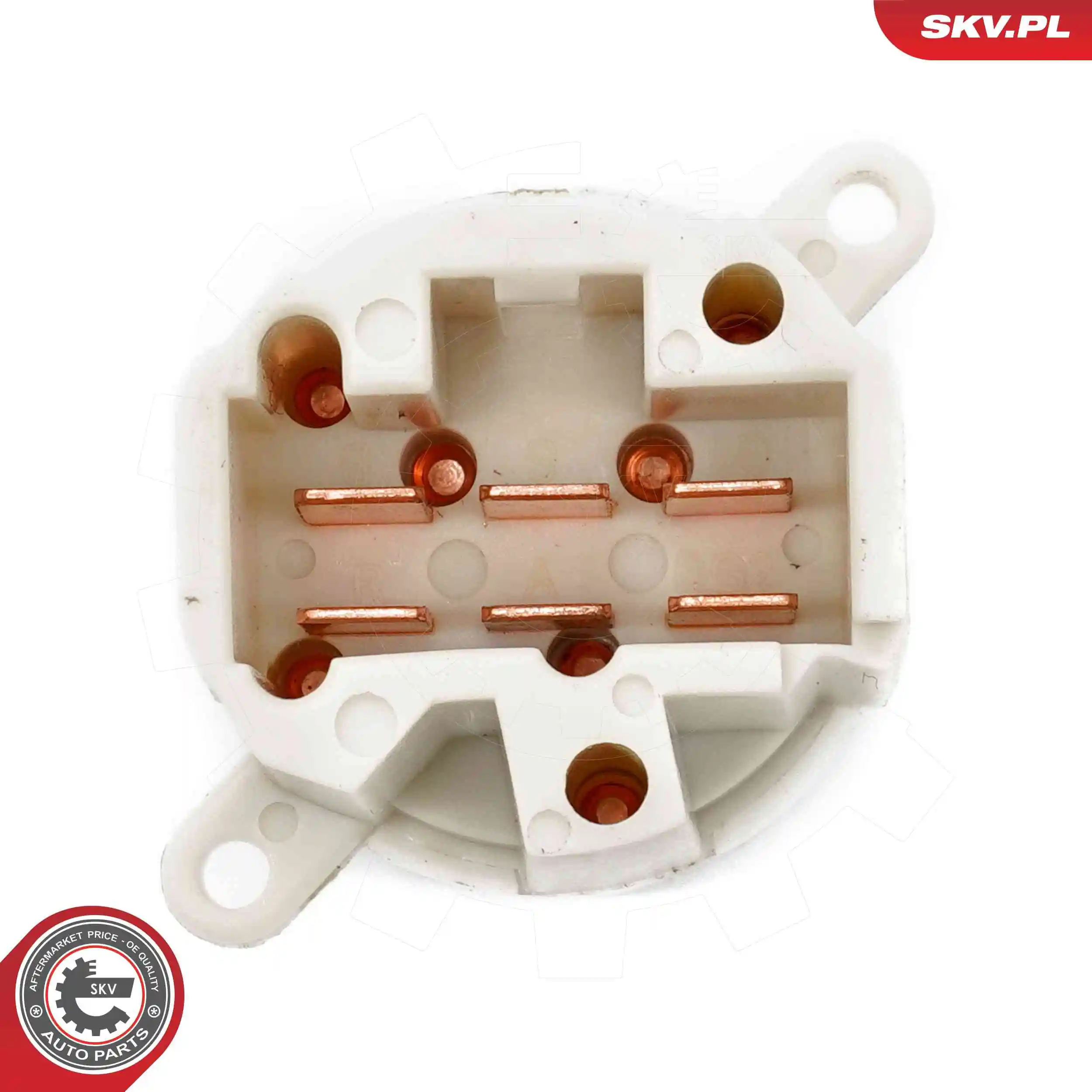 Ignition Switch 65SKV037