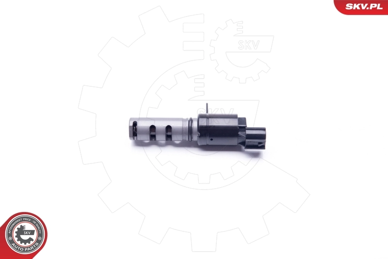 Control Valve, camshaft adjustment 39SKV023