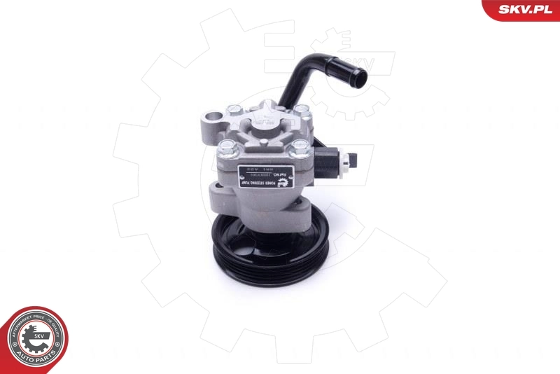 Hydraulic Pump, steering 10SKV301