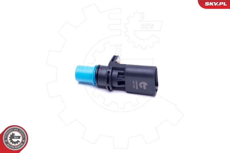 Lenkwinkelsensor 17SKV485