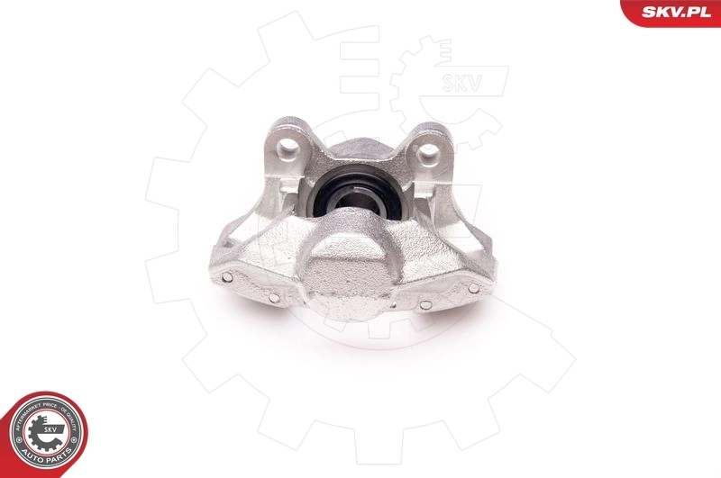 Brake Caliper 34SKV193