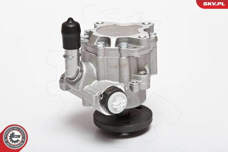 Hydraulic Pump, steering 10SKV123