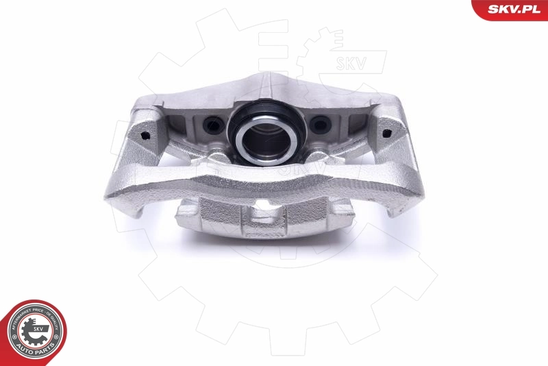 Brake Caliper 55SKV792