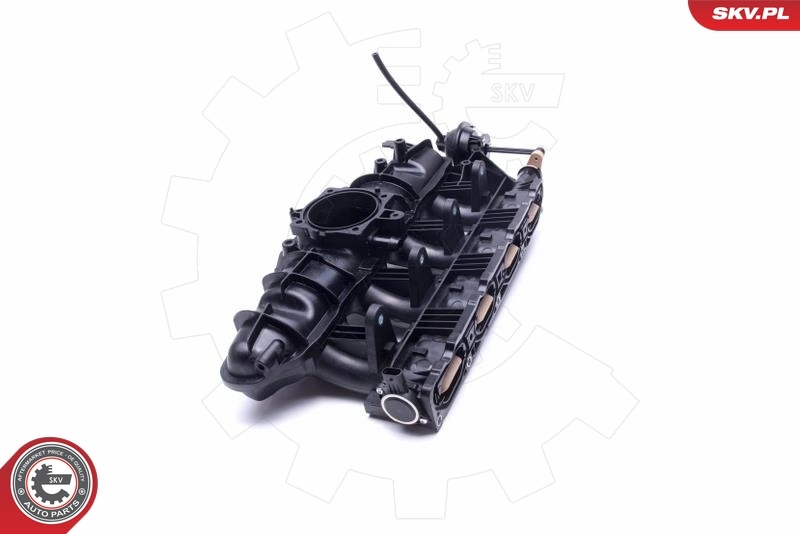 ESEN SKV 49SKV059 Intake Manifold Module