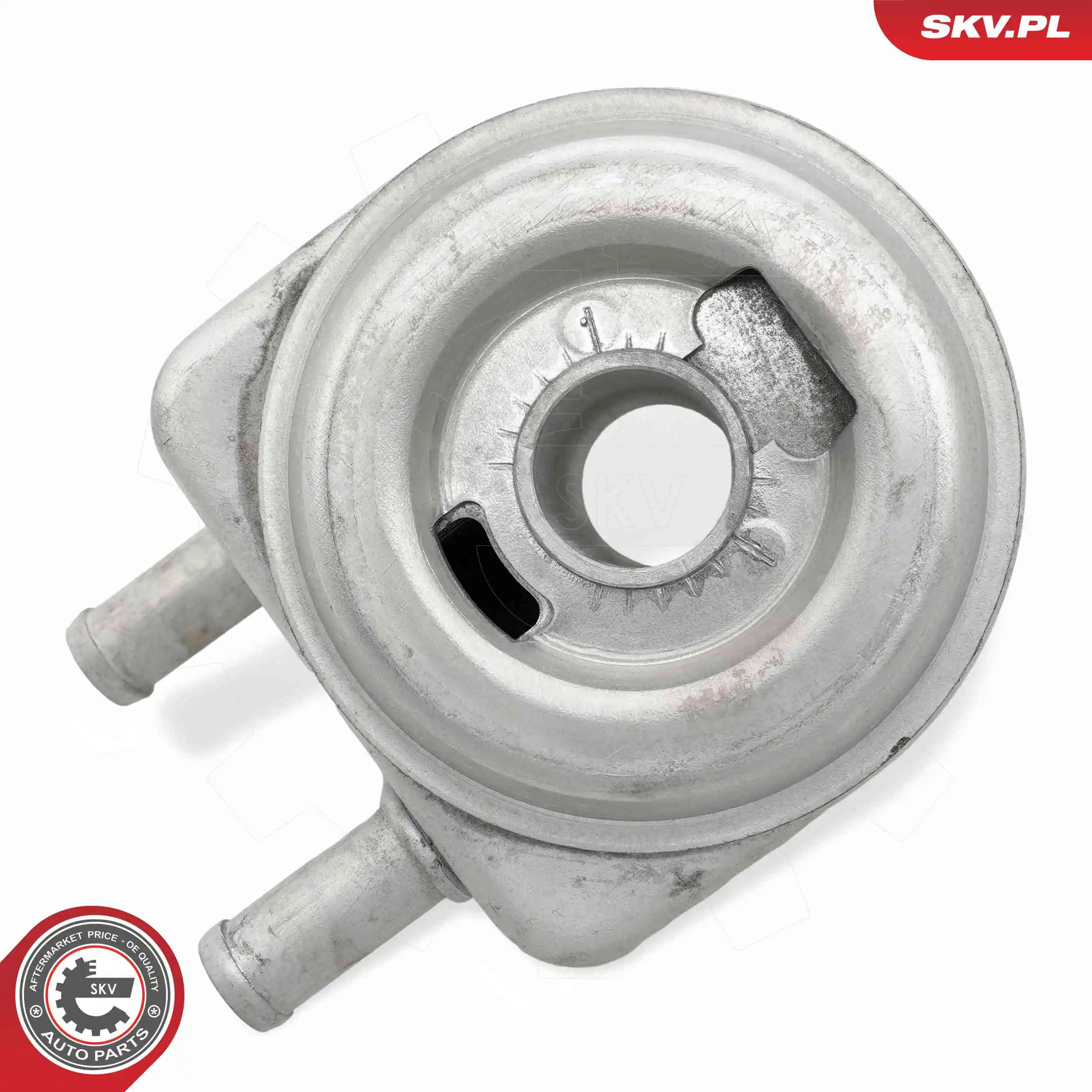 Oil Cooler, engine oil 31SKV274