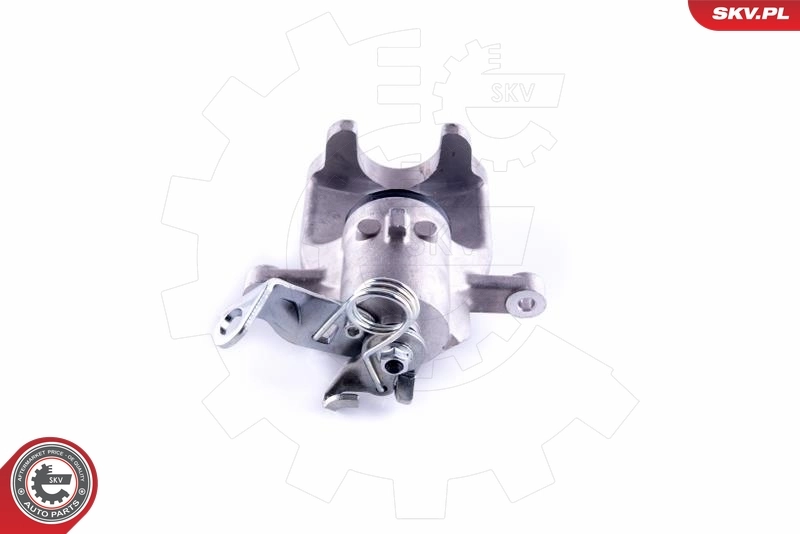 Brake Caliper 55SKV203