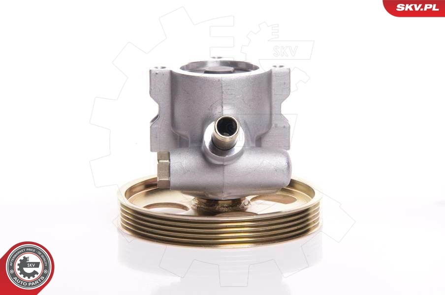 Hydraulic Pump, steering 10SKV119