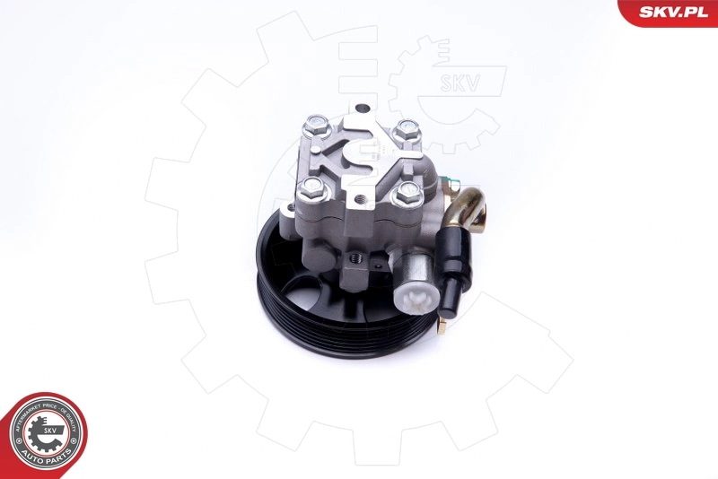 Hydraulic Pump, steering 10SKV263