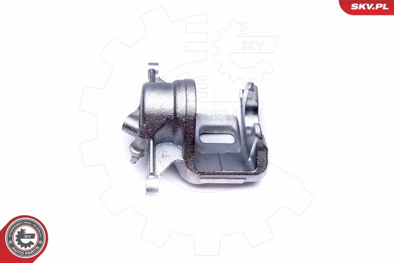 Brake Caliper 42SKV701