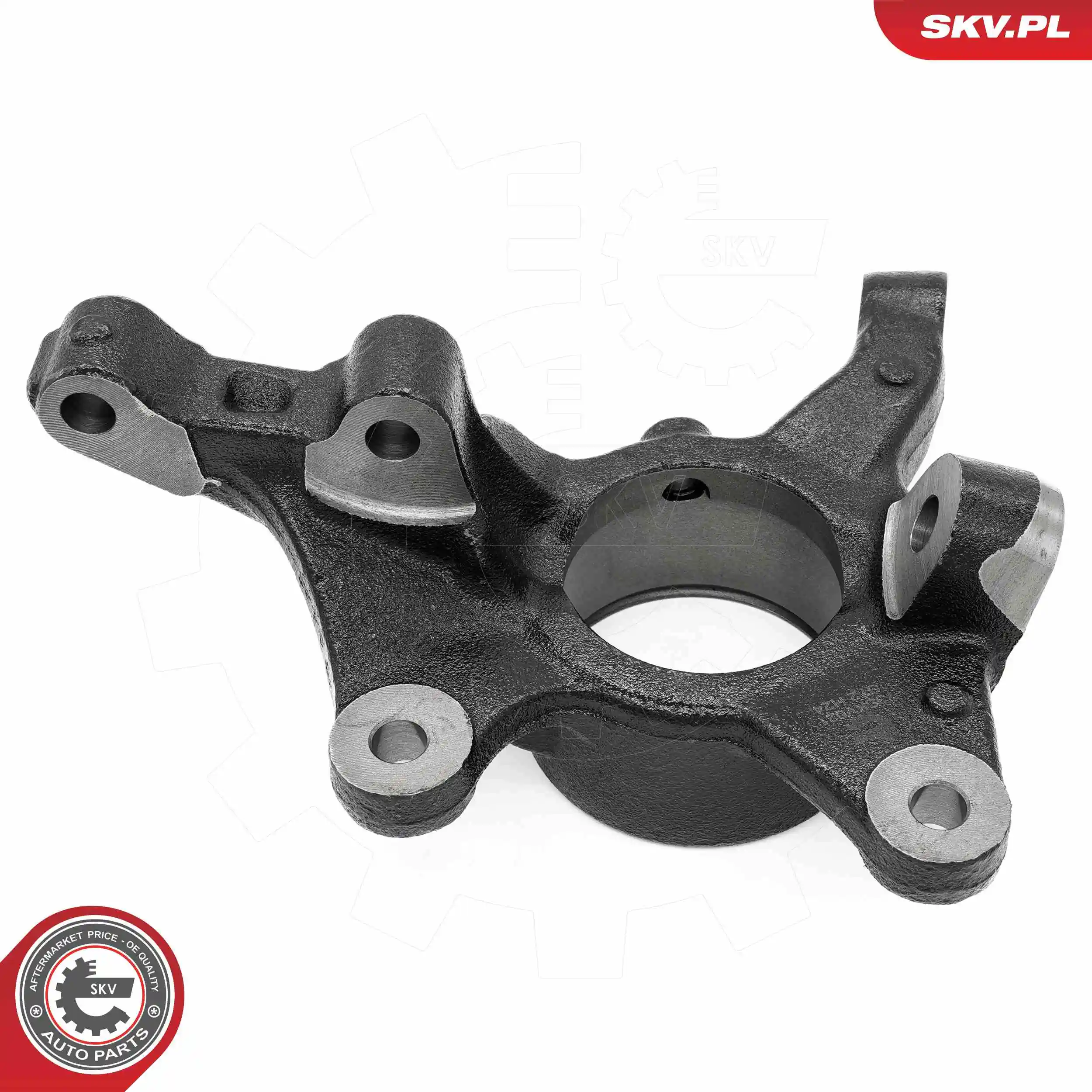 Steering Knuckle, wheel suspension 73SKV021