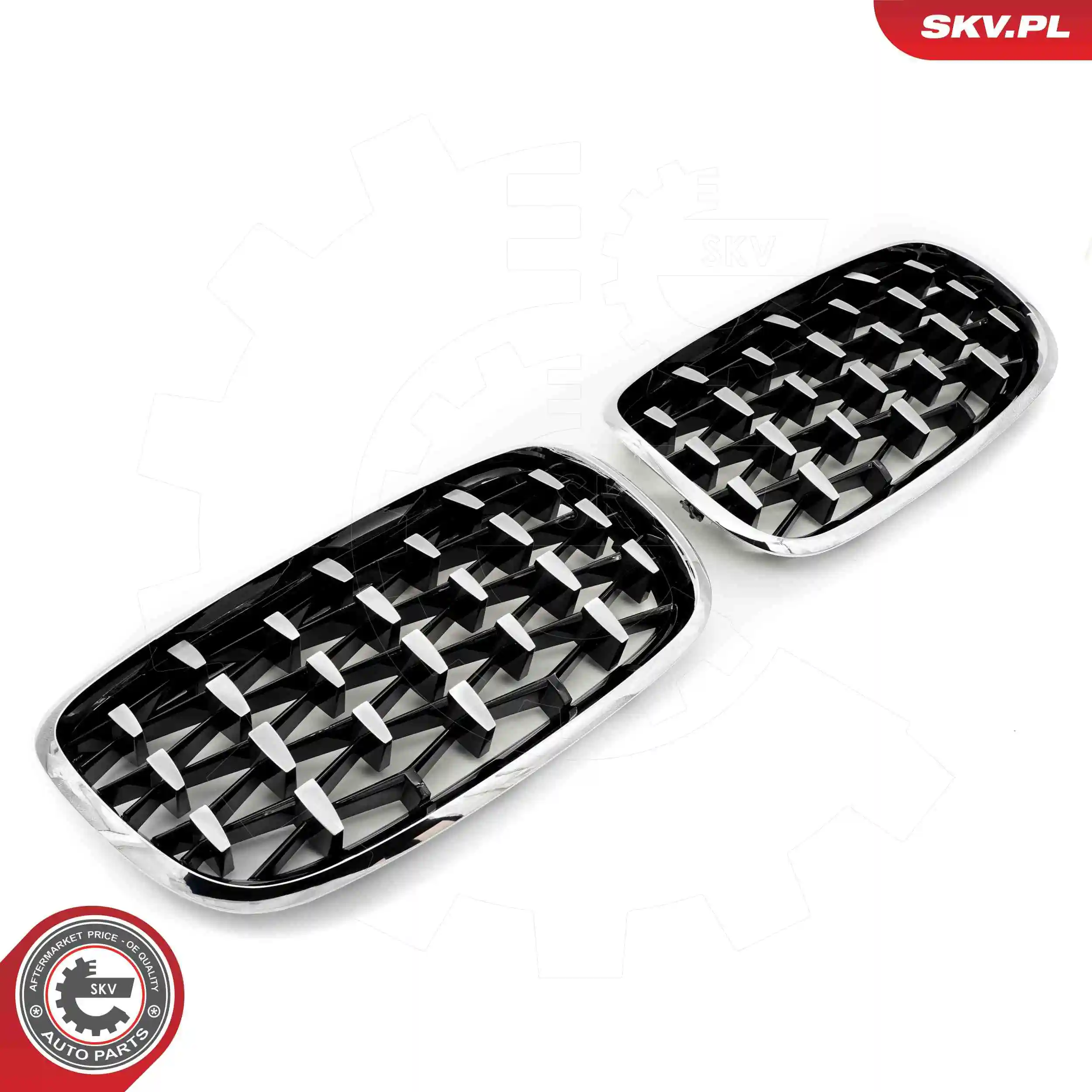 ESEN SKV 66SKV293 Radiator Grille